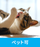 【賃貸特集】千代田区周辺のペット可物件